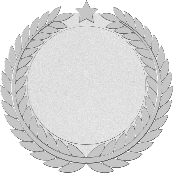 Silver Medal